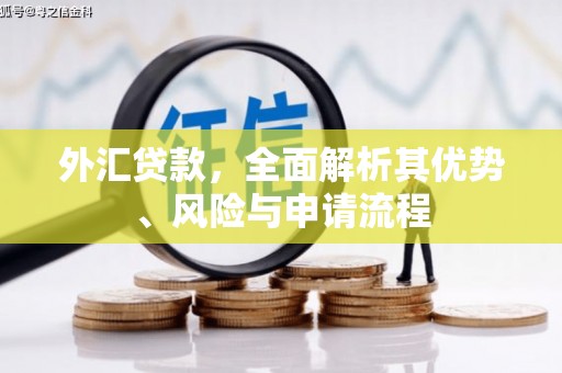 天河外汇贷款，全面解析其优势、风险与申请流程