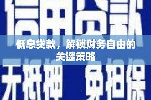 天河低息贷款，解锁财务自由的关键策略