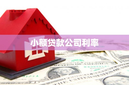天河小额贷款公司利率