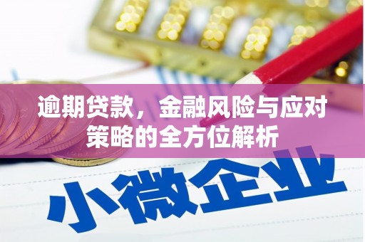 天河逾期贷款，金融风险与应对策略的全方位解析