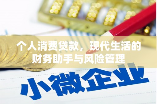 天河个人消费贷款，现代生活的财务助手与风险管理