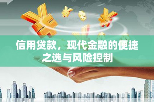 天河信用贷款，现代金融的便捷之选与风险控制