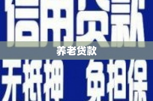 天河养老贷款
