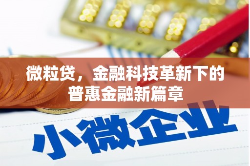 天河微粒贷，金融科技革新下的普惠金融新篇章