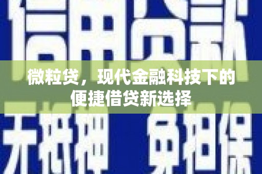 天河微粒贷，现代金融科技下的便捷借贷新选择