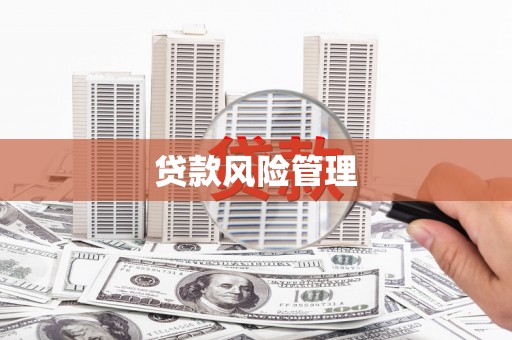 天河贷款风险管理