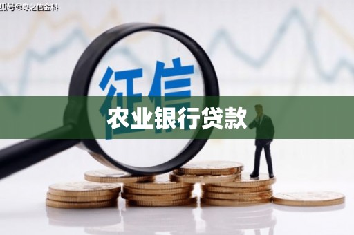 天河农业银行贷款