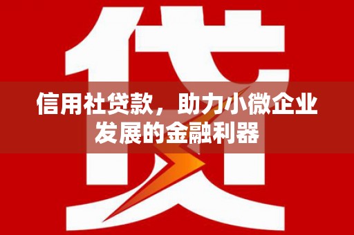 天河信用社贷款，助力小微企业发展的金融利器