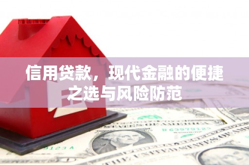 天河信用贷款，现代金融的便捷之选与风险防范