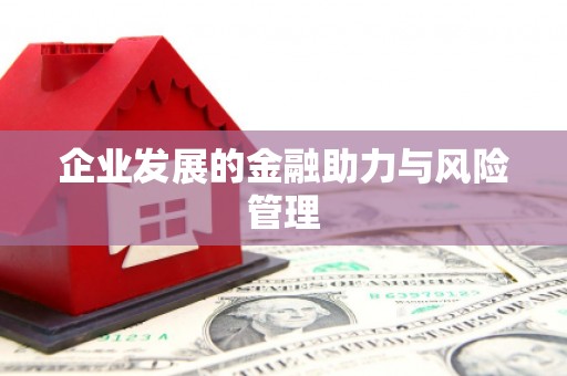 天河企业发展的金融助力与风险管理