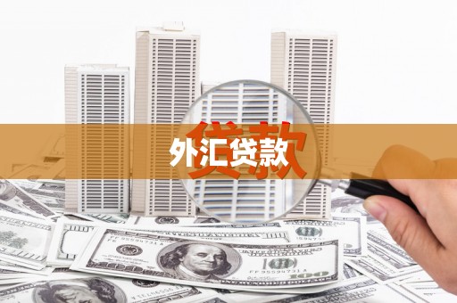天河外汇贷款