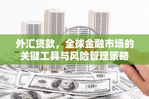 天河外汇贷款，全球金融市场的关键工具与风险管理策略
