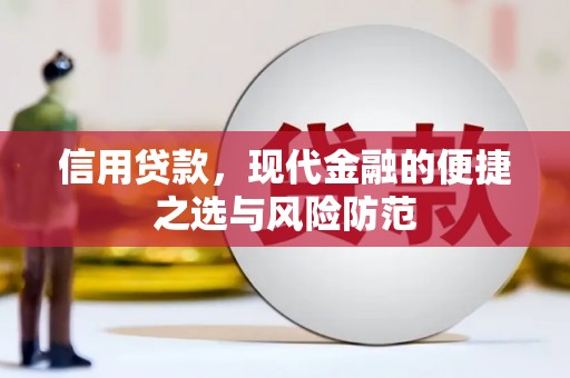 天河信用贷款，现代金融的便捷之选与风险防范