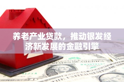 天河养老产业贷款，推动银发经济新发展的金融引擎