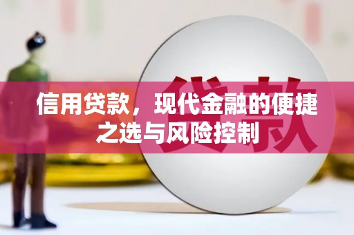 天河信用贷款，现代金融的便捷之选与风险控制