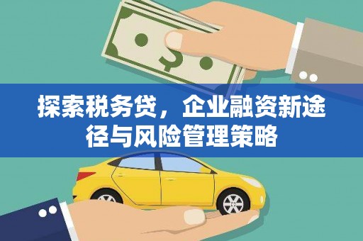 天河探索税务贷，企业融资新途径与风险管理策略