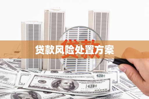 天河贷款风险处置方案