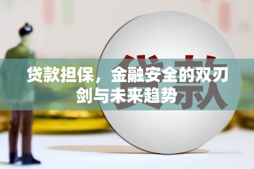 天河贷款担保，金融安全的双刃剑与未来趋势