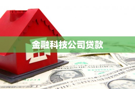 天河金融科技公司贷款