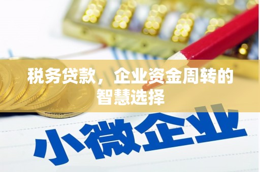 天河税务贷款，企业资金周转的智慧选择