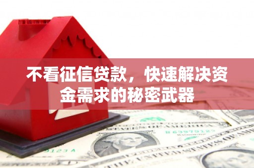 天河不看征信贷款，快速解决资金需求的秘密武器