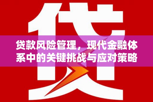 天河贷款风险管理，现代金融体系中的关键挑战与应对策略