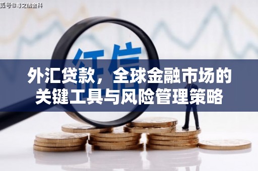 天河外汇贷款，全球金融市场的关键工具与风险管理策略