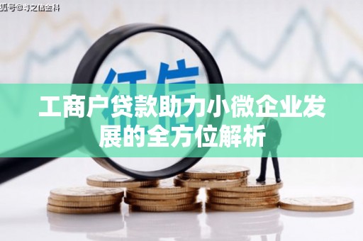 天河工商户贷款助力小微企业发展的全方位解析