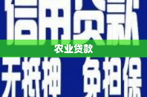 天河农业贷款