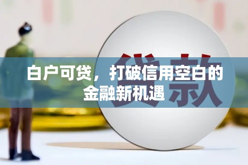 天河白户可贷，打破信用空白的金融新机遇