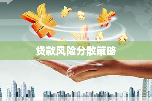 天河贷款风险分散策略