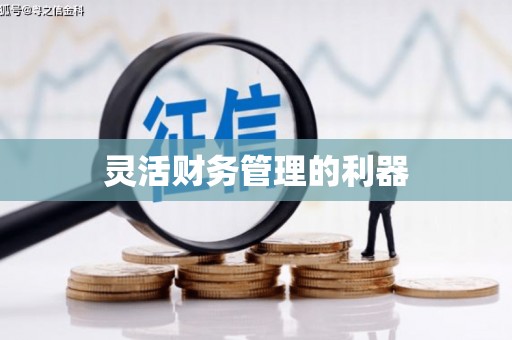 天河灵活财务管理的利器
