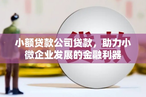 天河小额贷款公司贷款，助力小微企业发展的金融利器