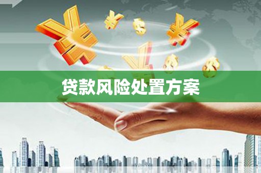 天河贷款风险处置方案