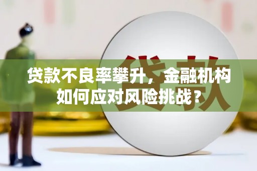 天河贷款不良率攀升，金融机构如何应对风险挑战？