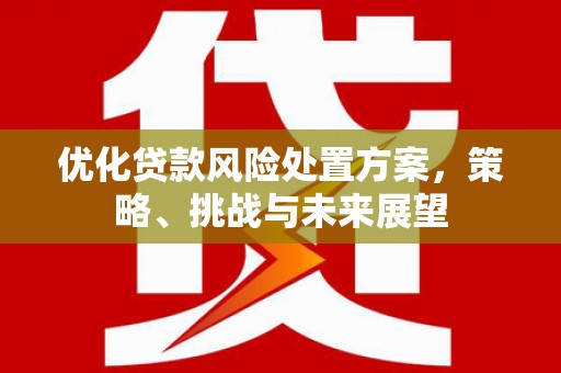 天河优化贷款风险处置方案，策略、挑战与未来展望