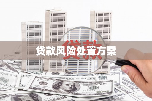 天河贷款风险处置方案