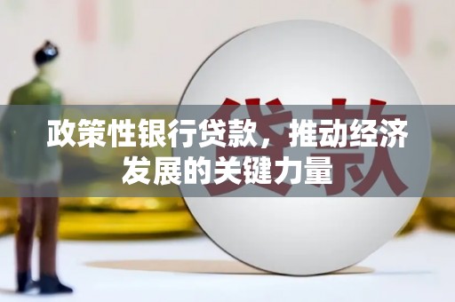 天河政策性银行贷款，推动经济发展的关键力量