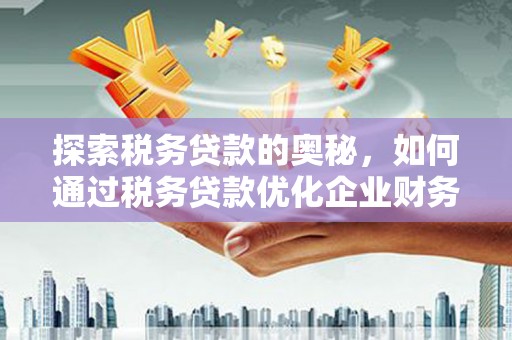天河探索税务贷款的奥秘，如何通过税务贷款优化企业财务