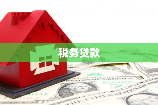 天河税务贷款
