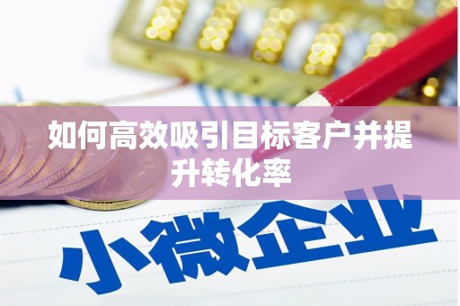 天河如何高效吸引目标客户并提升转化率