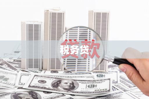 天河税务贷