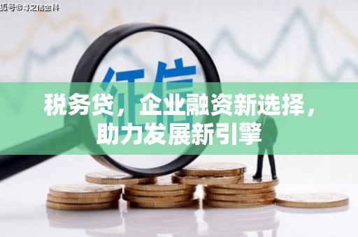 天河税务贷，企业融资新选择，助力发展新引擎