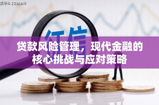 天河贷款风险管理，现代金融的核心挑战与应对策略