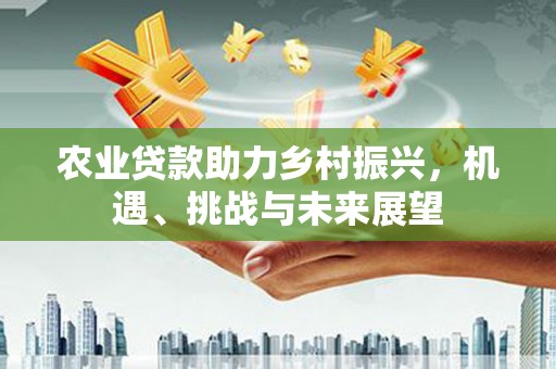 天河农业贷款助力乡村振兴，机遇、挑战与未来展望