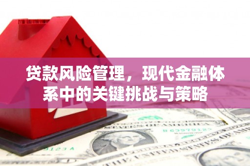天河贷款风险管理，现代金融体系中的关键挑战与策略