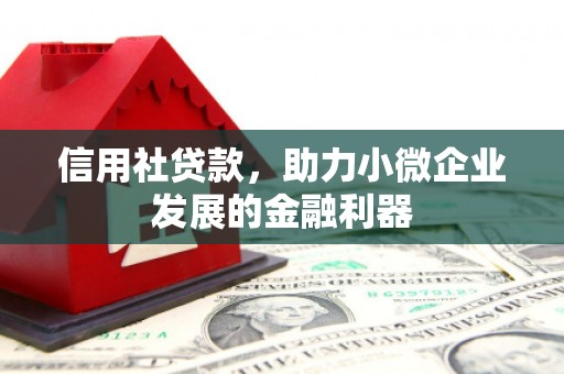天河信用社贷款，助力小微企业发展的金融利器