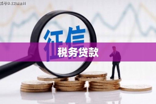 天河税务贷款