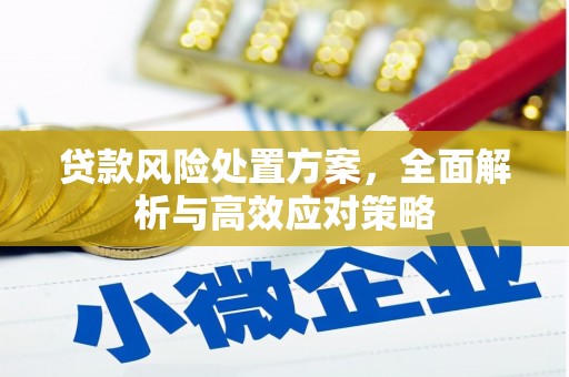 天河贷款风险处置方案，全面解析与高效应对策略