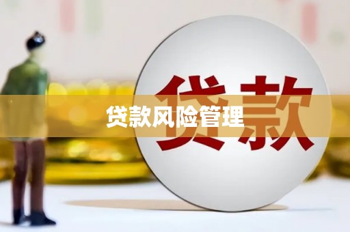 天河贷款风险管理
